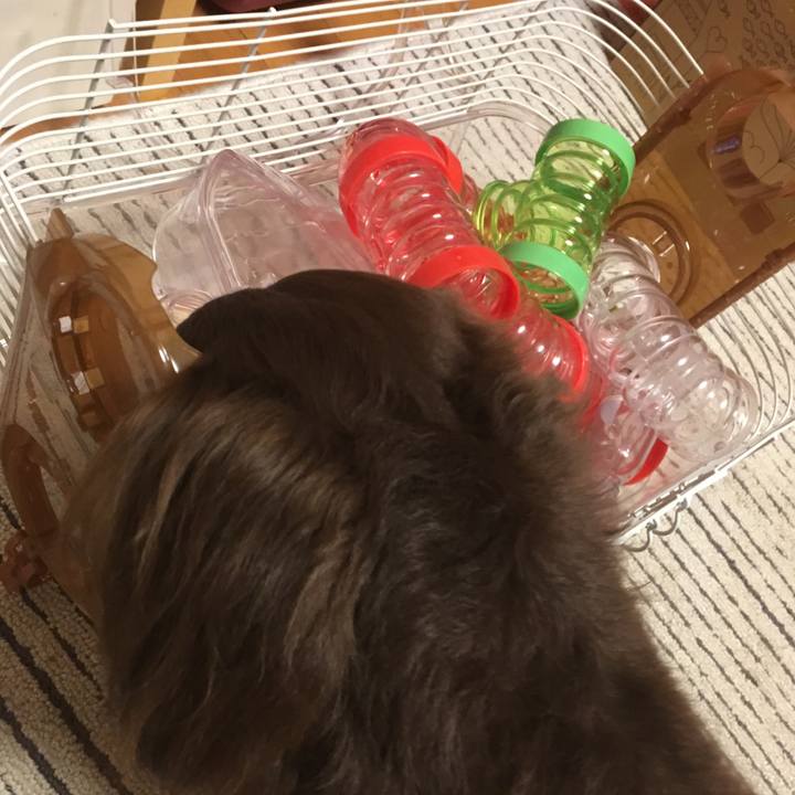 1d735b1a 7f00 4c6f bc91 76522d1ff835