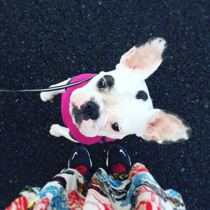 1d7399e4 6da4 4ce4 ba23 739438d565eb