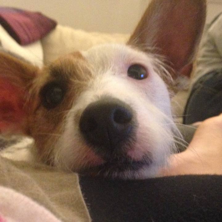 1d73eeeb e023 484d 8a4a a1bf917f52f2