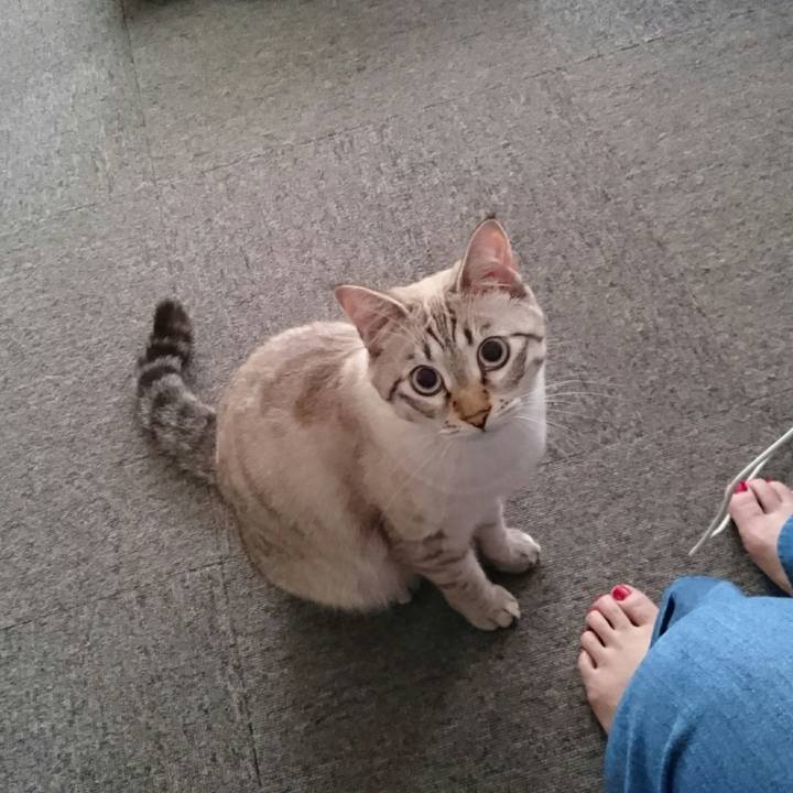 1d73fdf8 1499 4eac b7dd 8935a1c8cde5