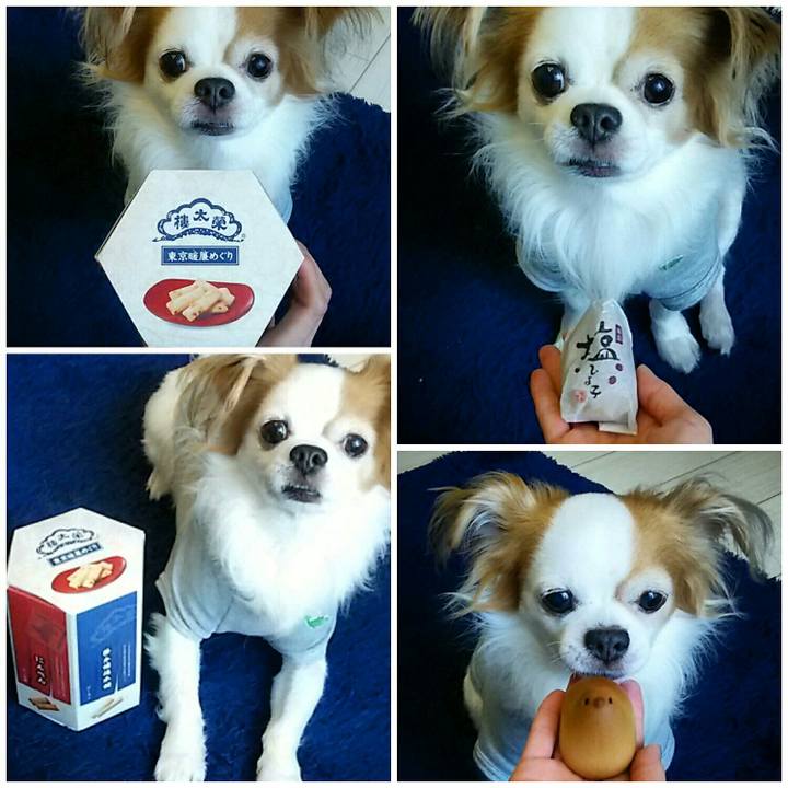 1d74840f 2829 4e5f a79a a817c81eda7b