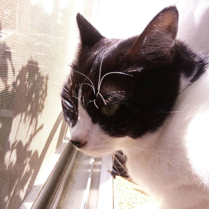 1d74c078 f499 4fb6 bff5 0f86949a0069