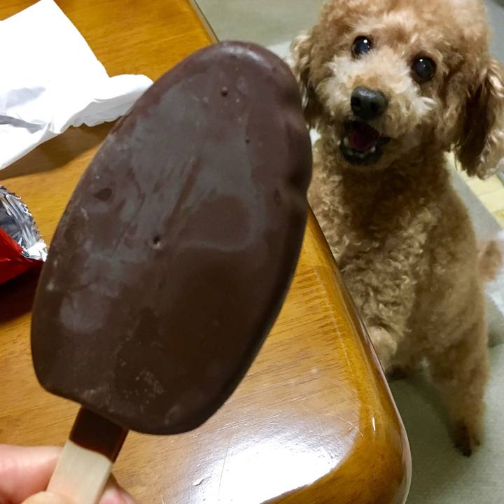 1d757968 6331 40f3 bc9a a54190ca07b9