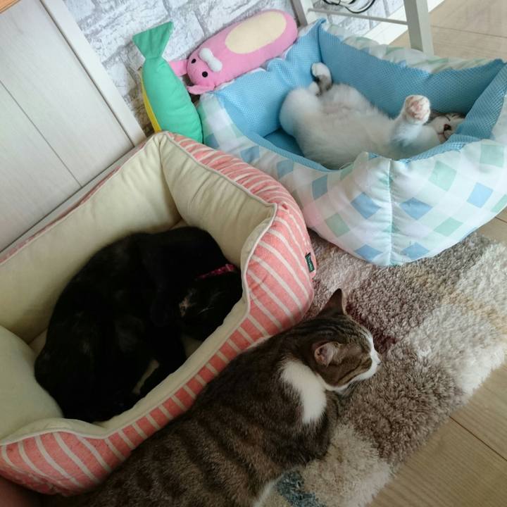 1d76ab90 b763 41df af90 06f0bb313fea