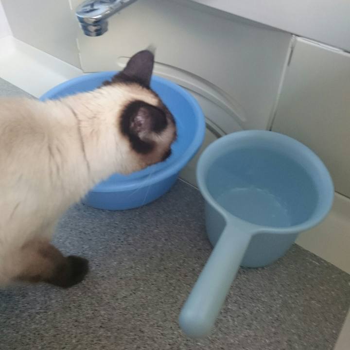 1d7729ae b7fb 4f2c 93b9 ee607e43027c