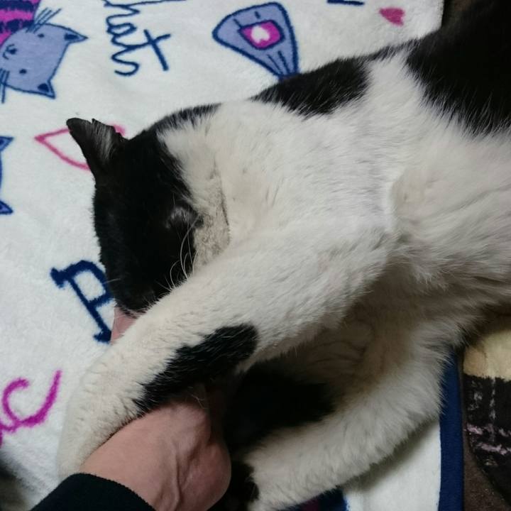 1d779061 9278 4278 9087 b0ef6c3f400f