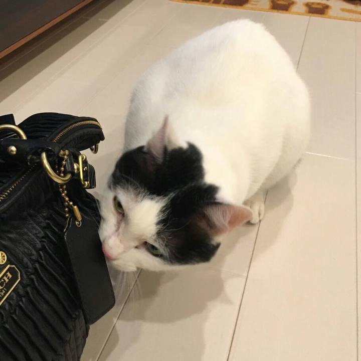 1d779393 9bef 47a6 b262 531bd2357ff5