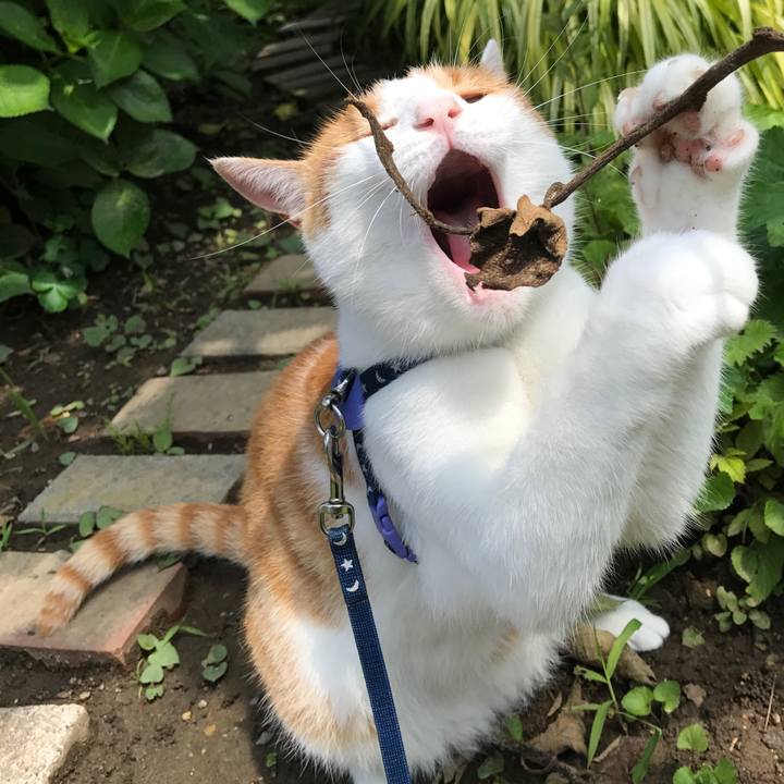 1d77b593 3d1b 4ac9 8ff7 007d96896349