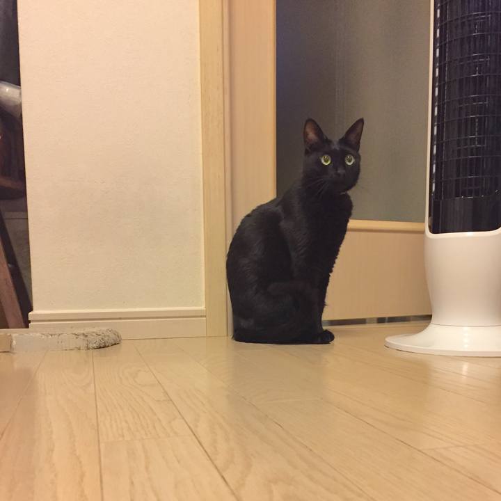 1d7985c3 8f95 4eab b91f 2cbd98dac1c9