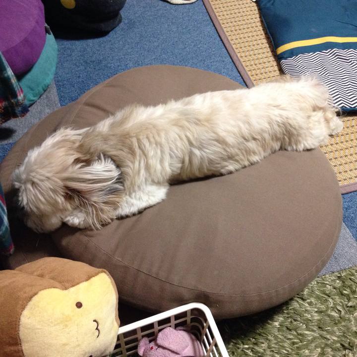 1d7a6e77 d056 4c7f 8474 408457cbfb3f