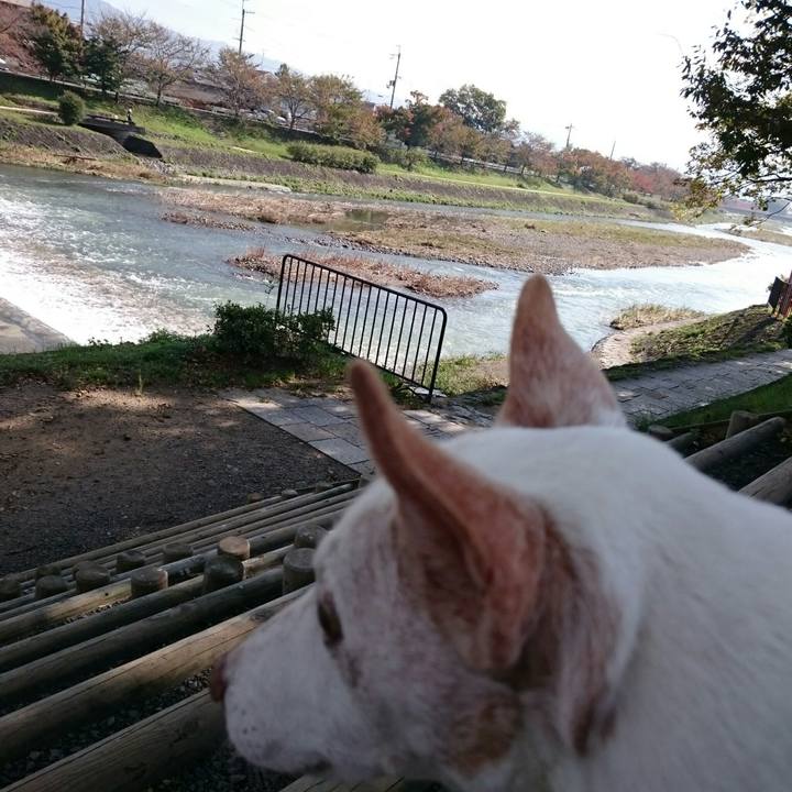 1d7a7ed5 45b2 4a23 8bcd 19b40fa8ec0d