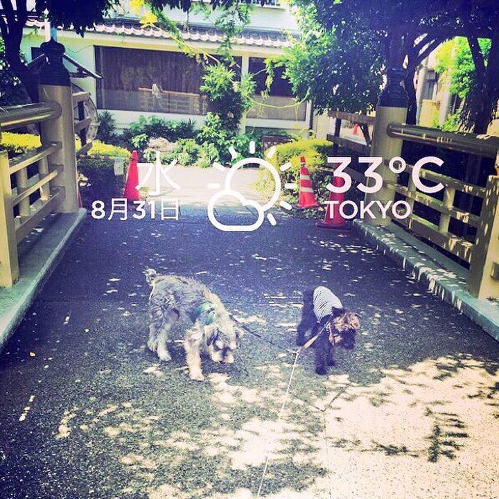 1d7af60e 3d4d 4142 826d ca49a8de1a9d