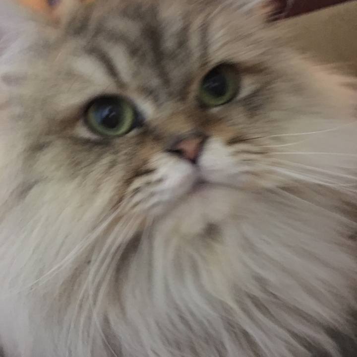 1d7b31ea cef1 449c 80fa 03caae8b1081