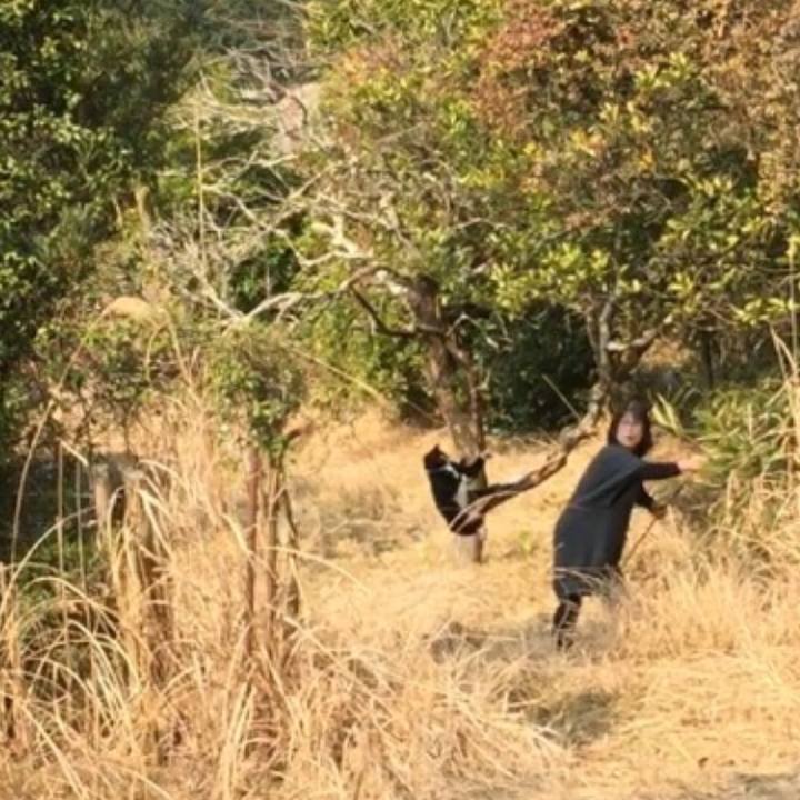 1d7b8d09 86bc 4ebd 9f15 3feac3259a69