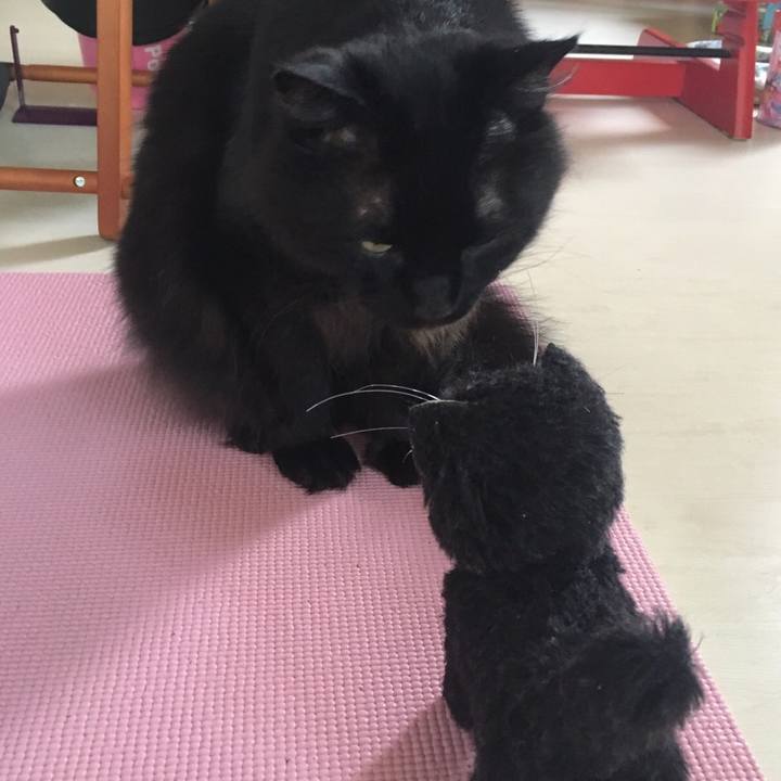 1d7c0d15 35a6 45bb 87a9 7145ac1a3a84