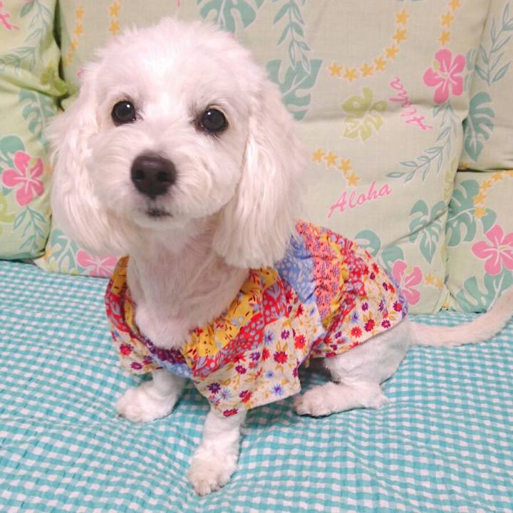 1d7c1db5 f48d 4f12 8780 f5dc6d453681