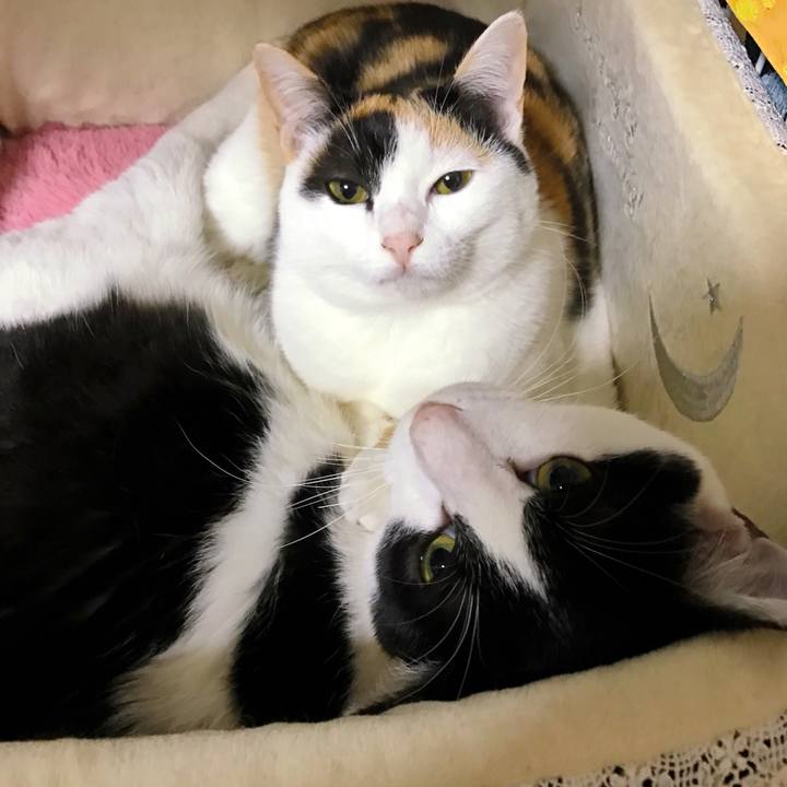 1d7c8f5c 5db5 4437 b1b0 5bde588e9b54