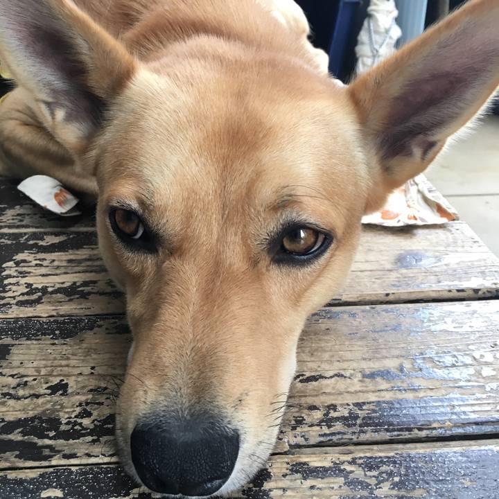 1d7d1e82 a9c7 49b5 a7f2 b17b62508a10