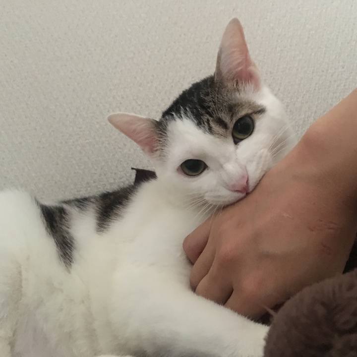 1d7d39a2 0fa3 4cf7 a4b8 3f3ac8bd89b5