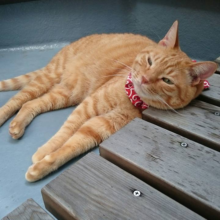 1d7e2486 9194 49d2 b262 24e579f0d457