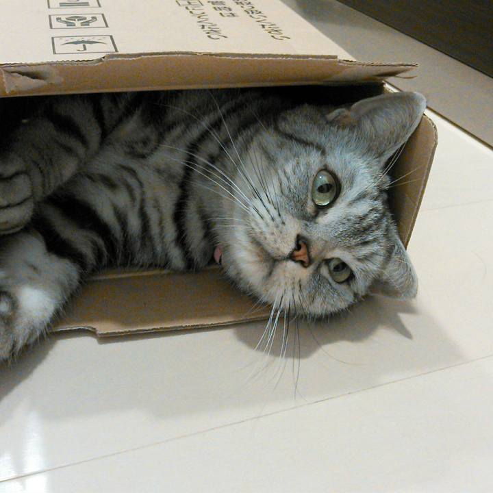 1d7ee01d 0cc2 4811 8730 527440b19dee