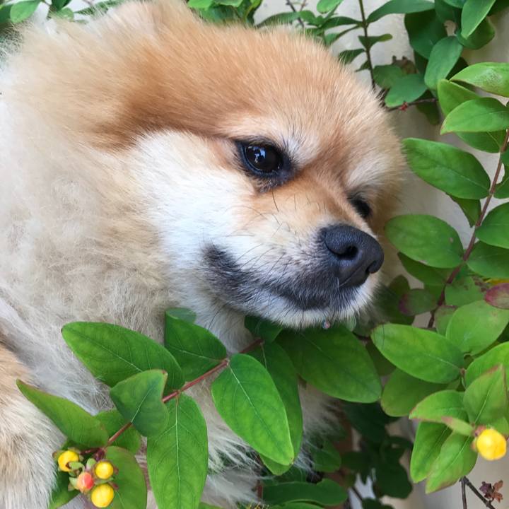 1d7f7584 c9e2 4efe a135 5ea8c8c7419d