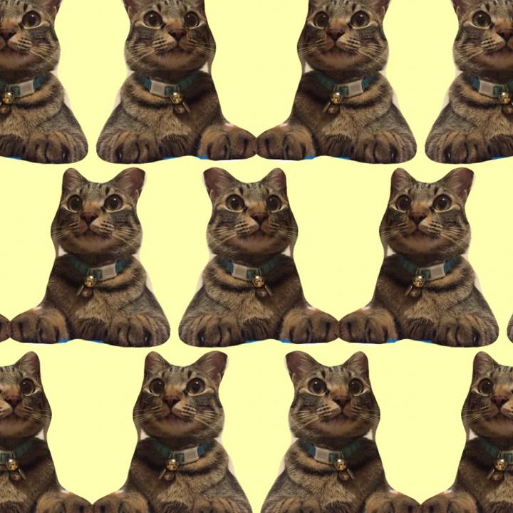 1d7fa37e f208 4a01 8699 566712964361