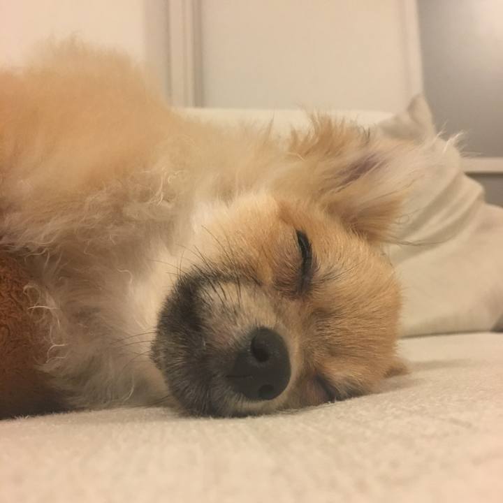 1d8024e5 7fa2 41c9 b700 0c2a874ca4e0