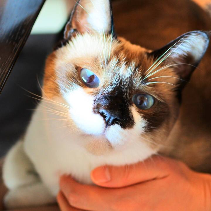 1d80b797 157c 4a6c 8e5e c7d353c3e26d