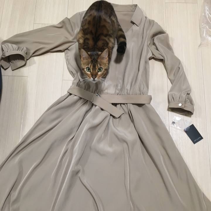 1d80c640 f606 4515 ab53 8666aa9fbf82