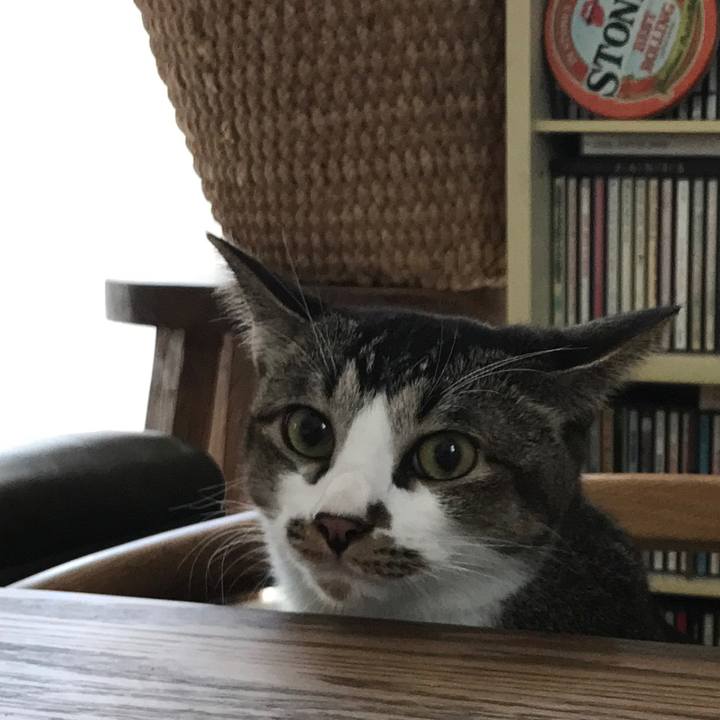 1d80e226 bd57 41a5 a694 c8b25c45dc5a