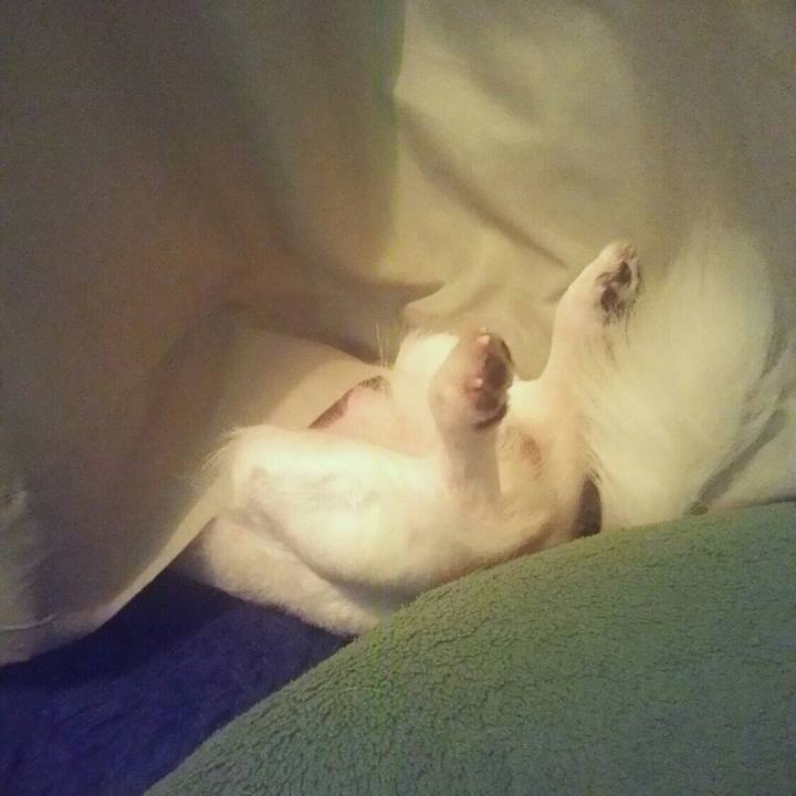 1d81ae99 e370 4733 80a8 428eafe61868