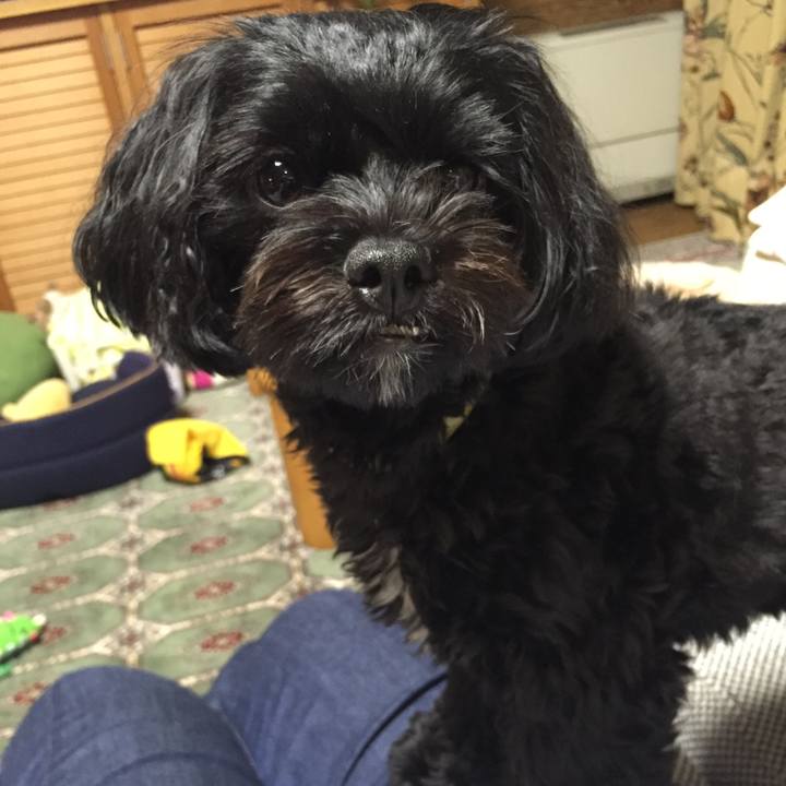 1d8268e7 d2da 4206 9151 4a5e386cb638