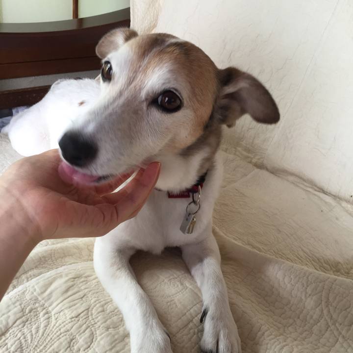 1d836111 9a6f 44a9 a543 884162a805f7