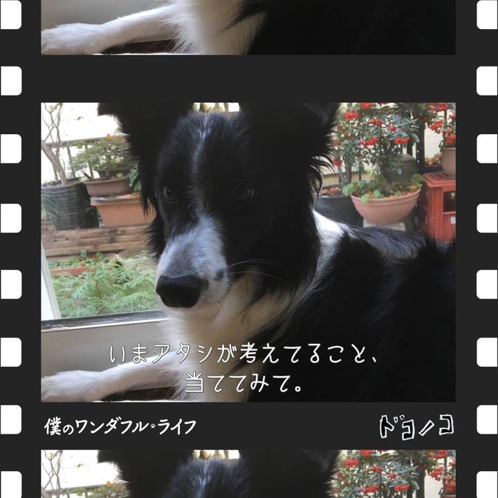 1d84153f bda6 488e 8fb6 d27ead4e5f89