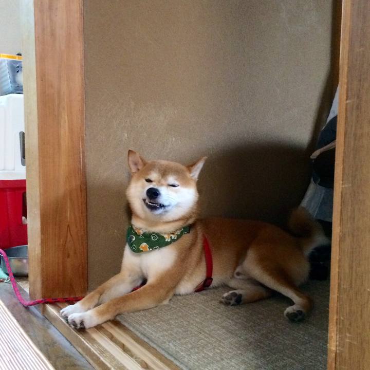 1d857512 d4ad 4d17 ab25 3cbfeacfadd1