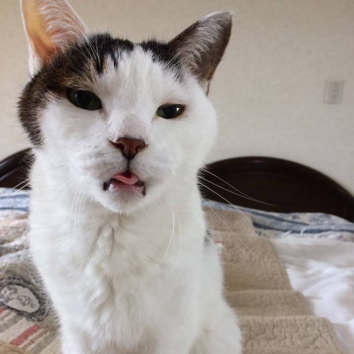 1d8665e2 f331 40f9 94fe 4da95d286787