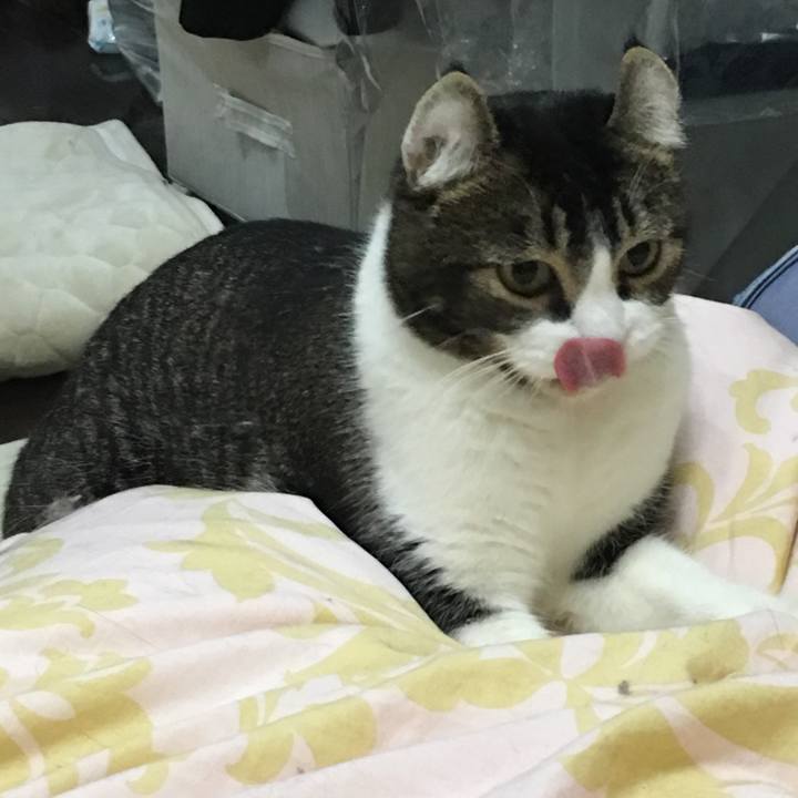 1d8768d1 ad9f 4e3e 8012 37e1f16b61c2