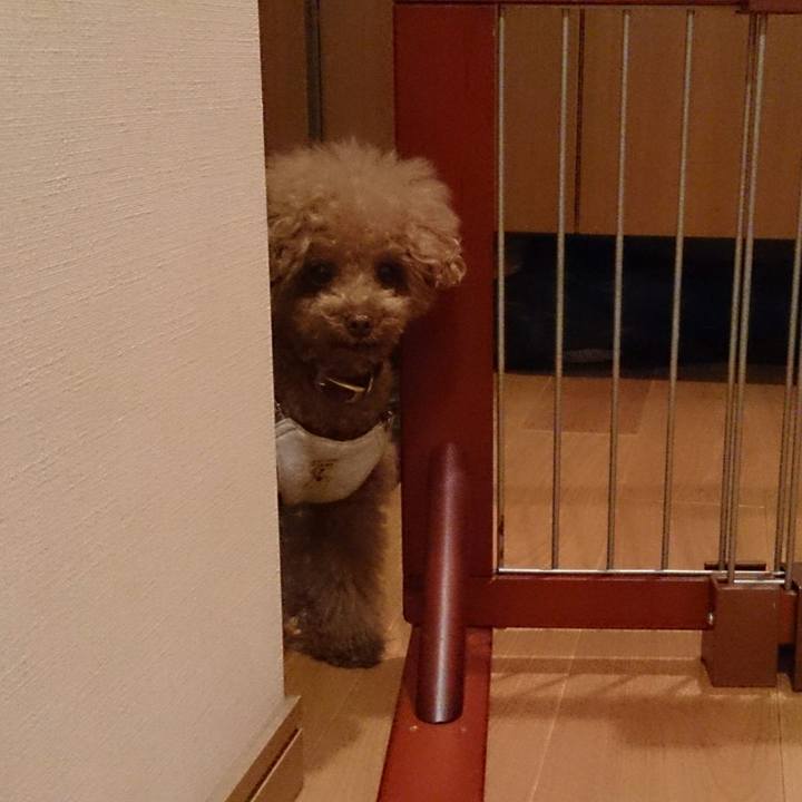 1d876edf 75dd 4848 a7e1 0e15a2c27e02