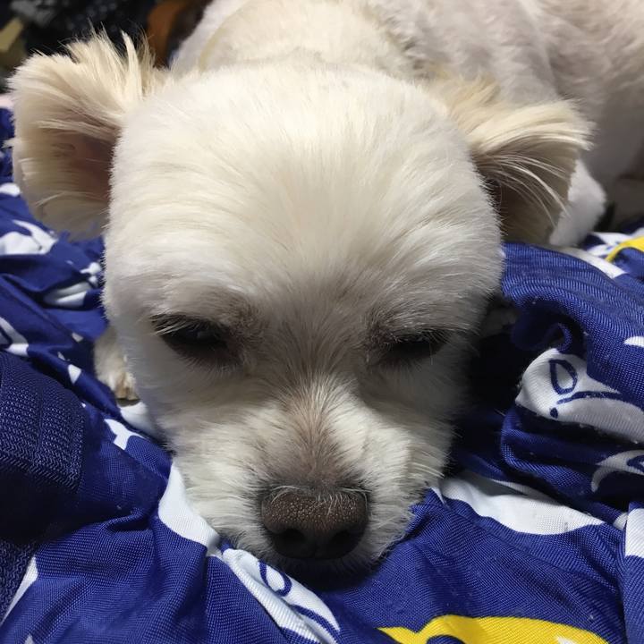 1d878819 1a02 4c66 87cc 1d2a1ec492e6