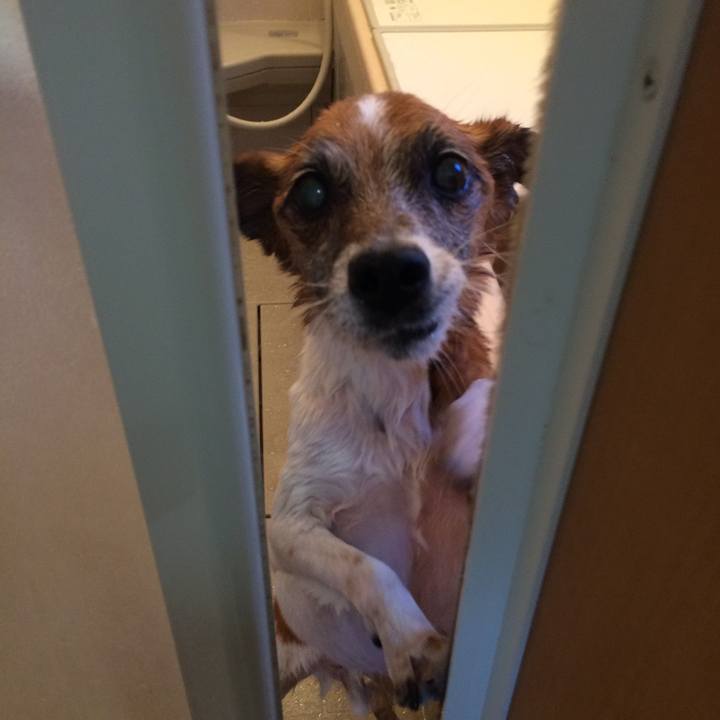 1d878a46 4de1 4bbc 85c1 22c8e0283872