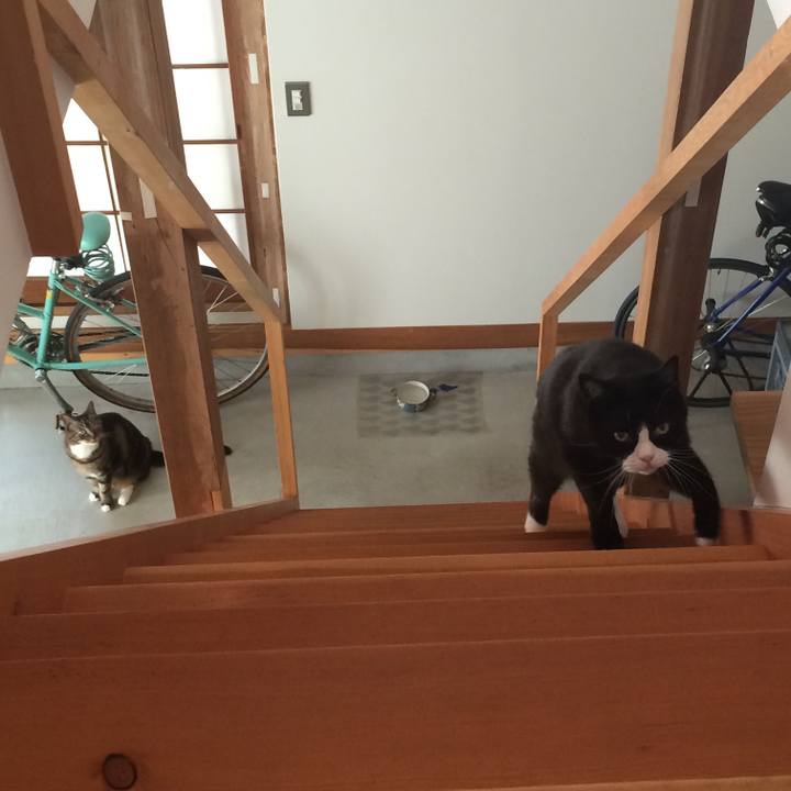 1d88571b 8be8 4000 af31 687a7850d7df