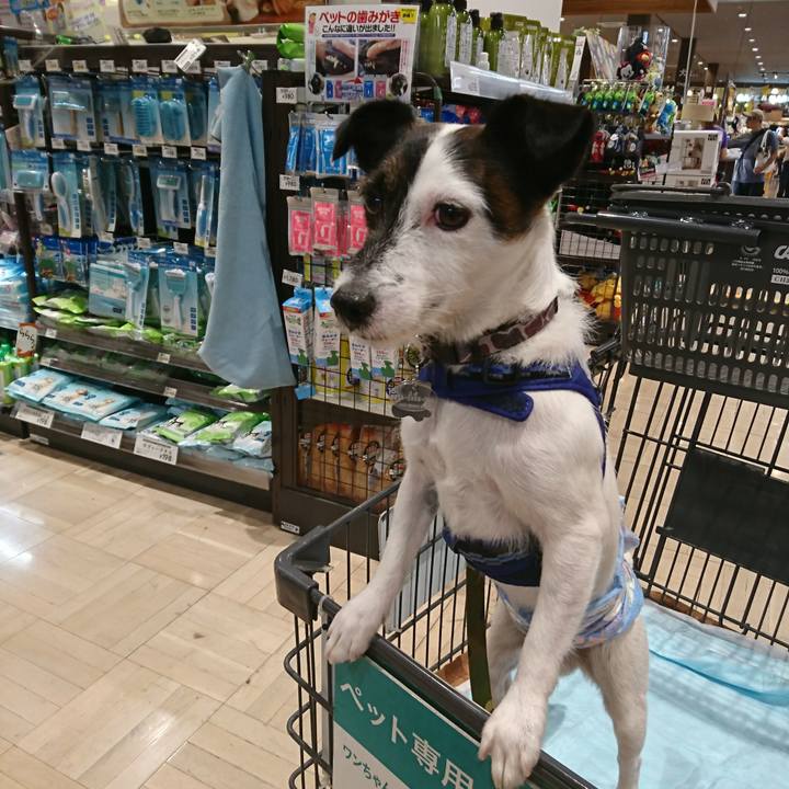 1d8895cb cea0 40ab a251 22665b36e3f4