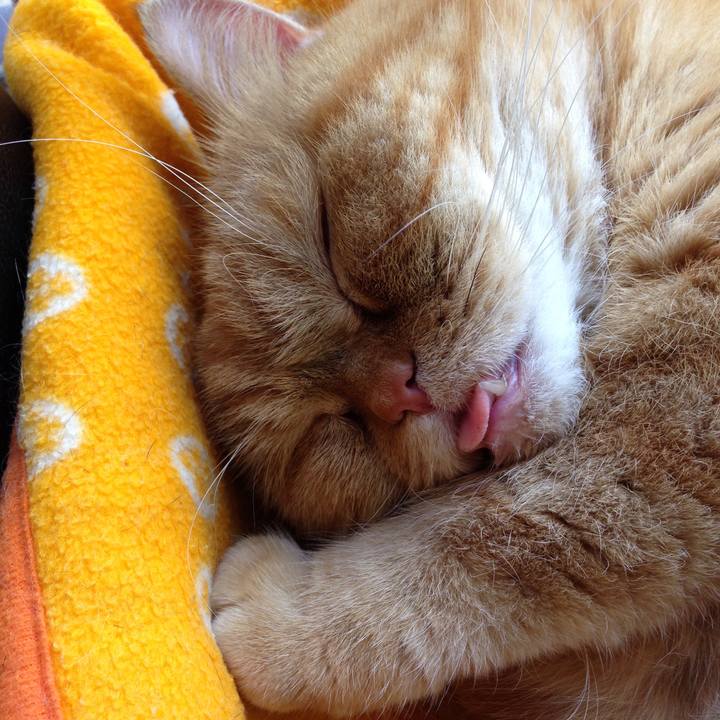 1d88d28b 3ead 49b5 9f72 c03c16473630