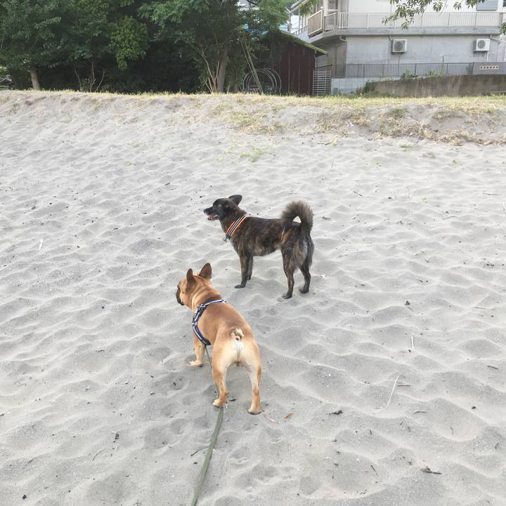 1d893819 4161 4e44 90e8 22e007d9722b