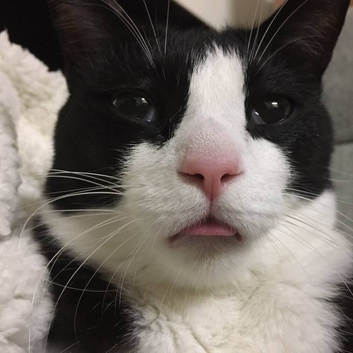 1d8985ab f96b 4f2e 995d d9256811f6e5