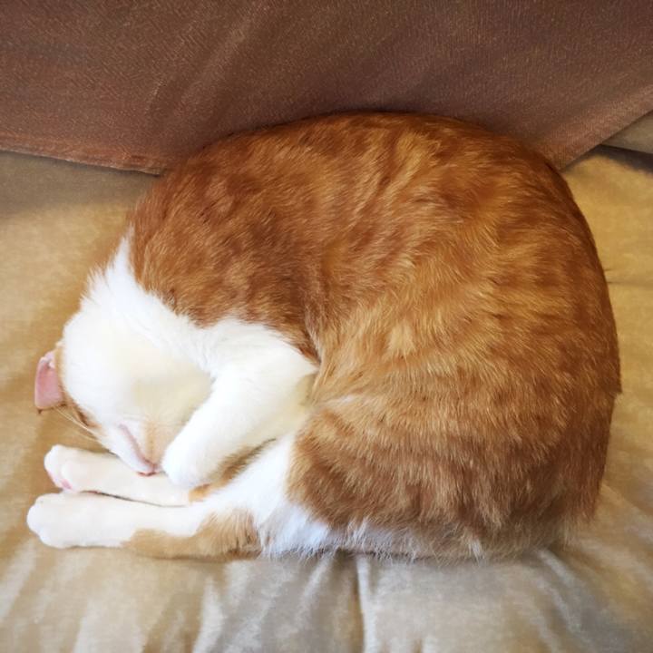 1d898dfa 8622 4e95 be88 848d8db3163a