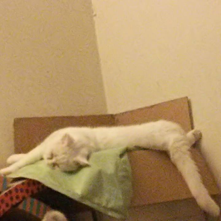 1d899a0a 4c87 41d1 94ab 205d4465d231