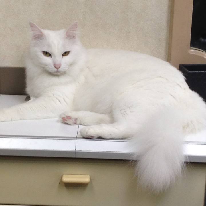 1d8a44bb 5285 4528 946d a9f0b8d6b2cb