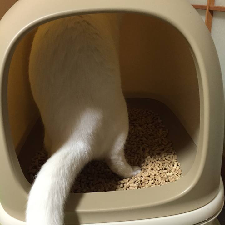 1d8ac8e0 85fe 4d24 9e5d ddf1e9345a1c